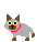 Image Name